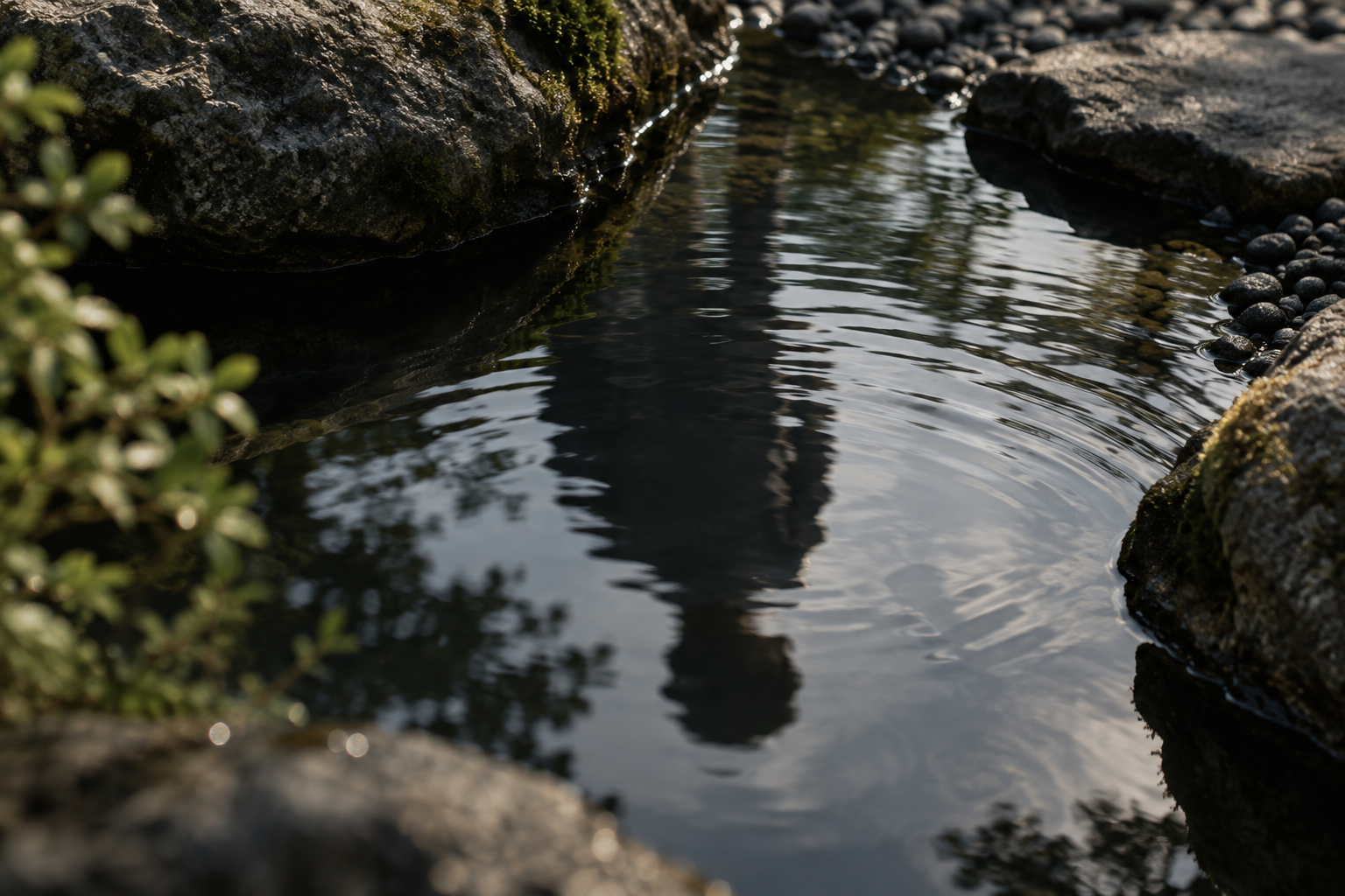 Reflexo desfocado de uma silhueta humana em um espelho d’água entre pedras e vegetação.